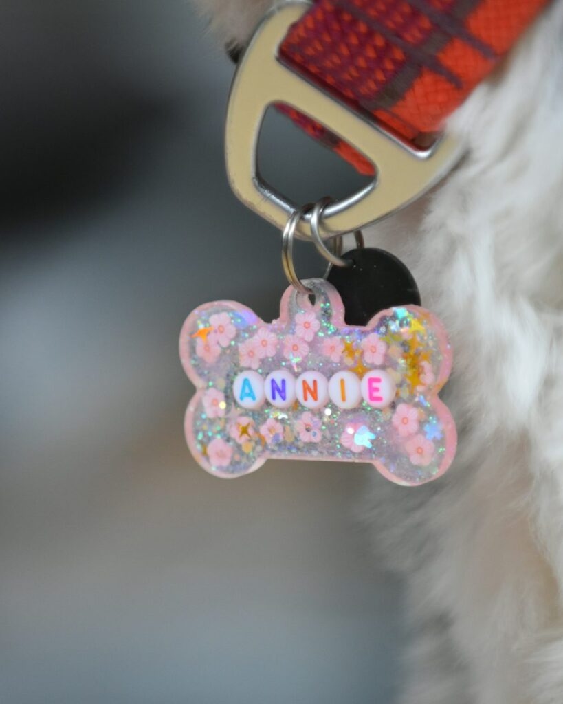 Perro con una chapa con su nombre en el collar